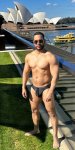 Macho disponible para viajes 