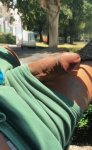Vamos al parque?