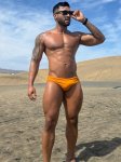 Tavo