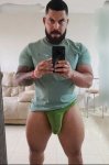 Pollon