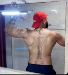 Espalda de macho xl Espalda de macho xl