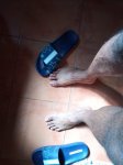 pies