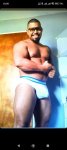 Pollon